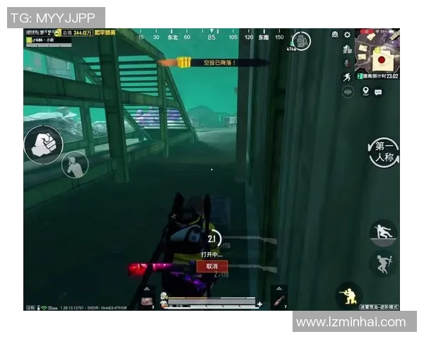 陈秀英畅谈和平精英发展历程与未来展望的深度专访